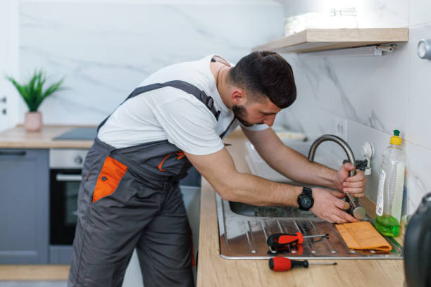 Best Clogged Drain Plumber  in Freeland, MI