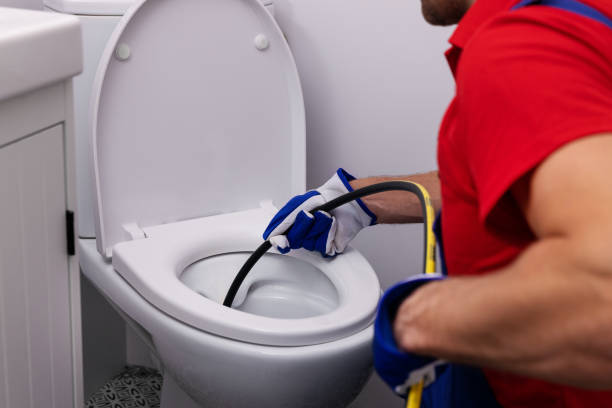 Best Clogged Drain Plumber  in Freeland, MI