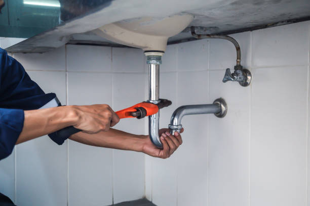 Best Affordable Plumber Near Me  in Freeland, MI