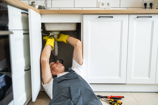 Best Sprinkler Systems  in Freeland, MI