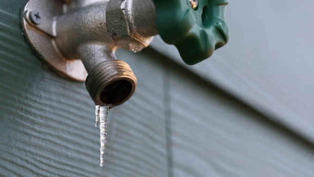 Best Plumbing Services Near Me  in Freeland, MI
